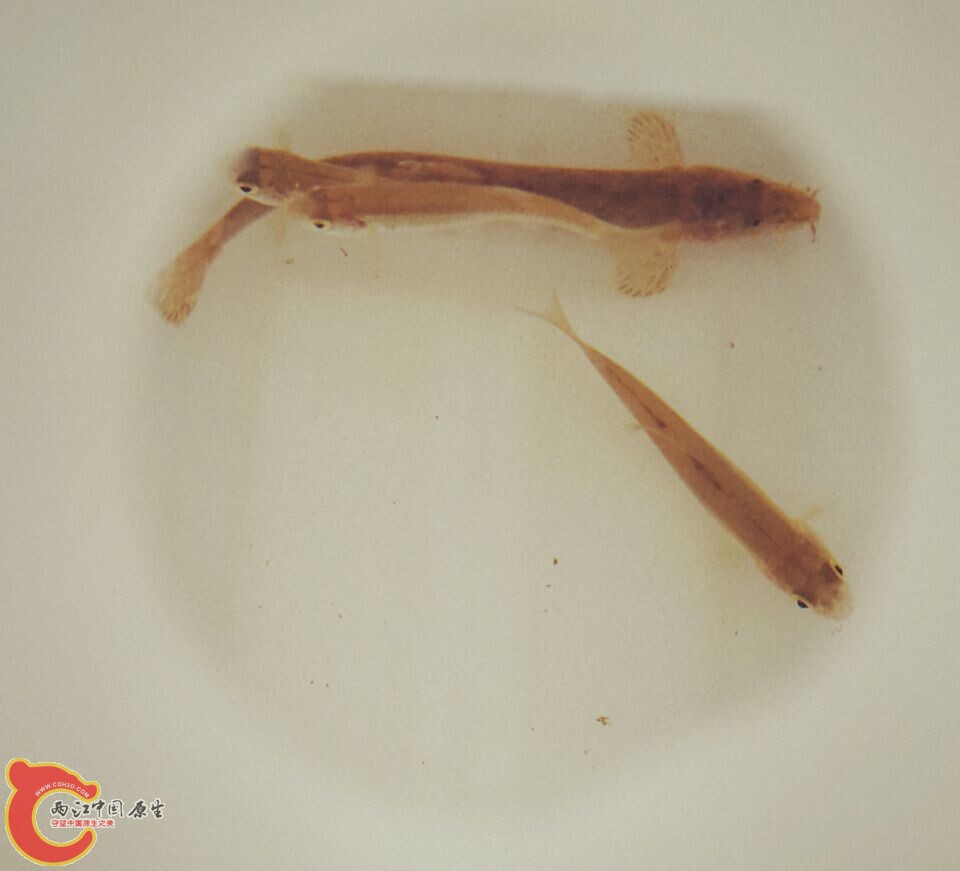 QQ图片20140727212820.jpg