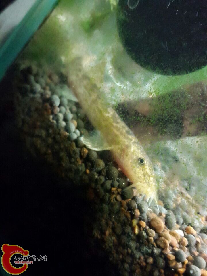 QQ图片20140727212832.jpg