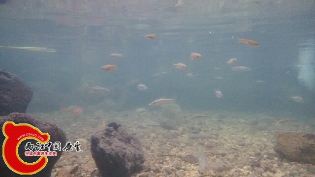 IMG_20140808_145305.jpg