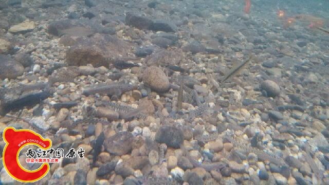 IMG_20140808_144805.jpg