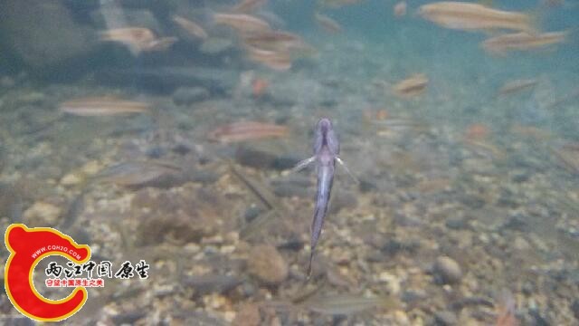 IMG_20140808_144655.jpg