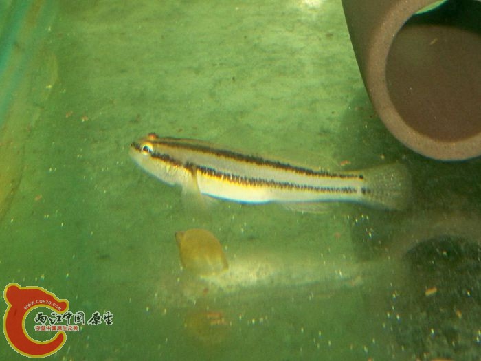 101_0010.JPG