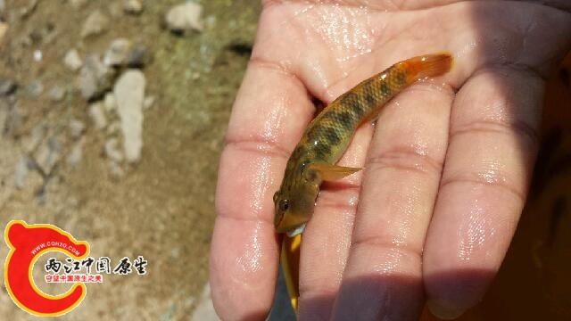 20140810_144701.jpg