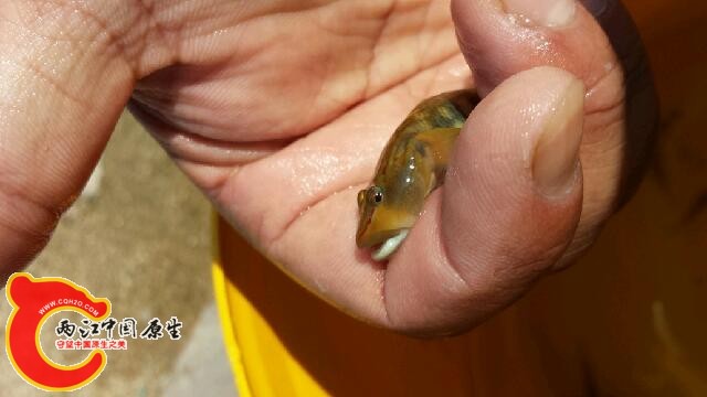 20140810_144641.jpg