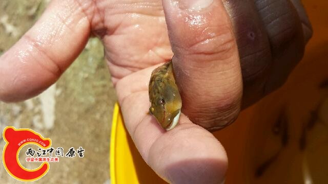 20140810_144552.jpg