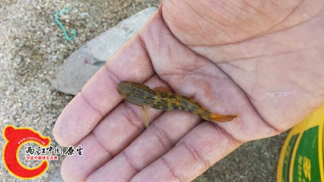 20140810_144526.jpg