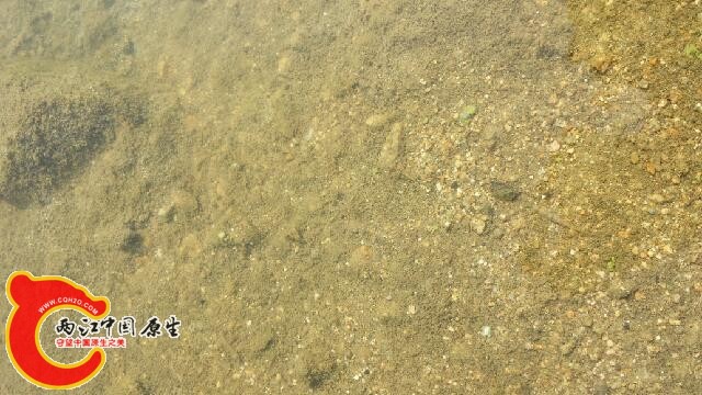 20140810_144806.jpg