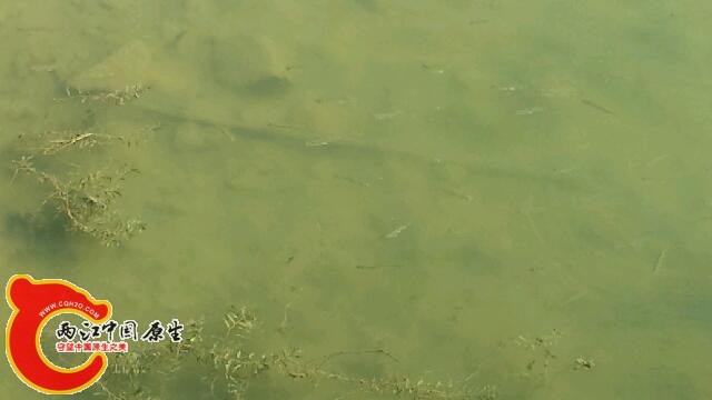 20140809_145712.jpg