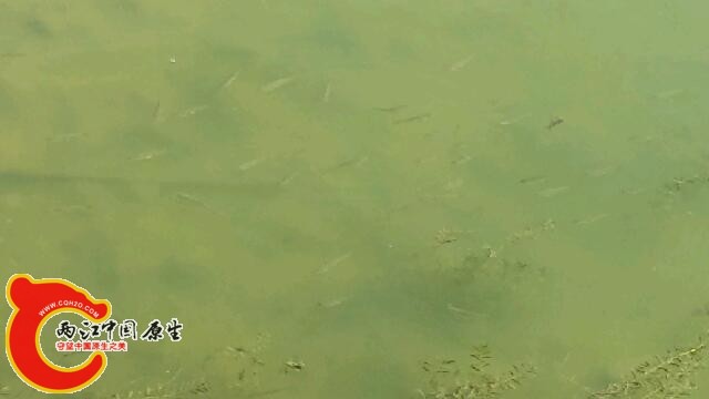 20140809_145637.jpg