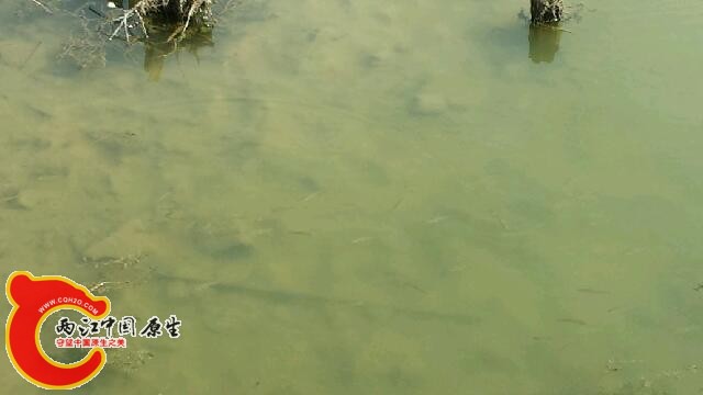 20140809_145529.jpg