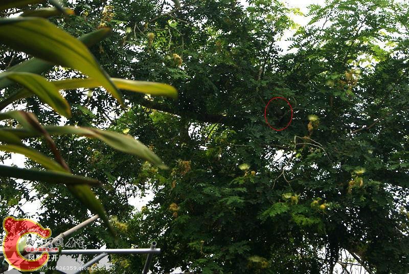 11 第44天回归140801.jpg