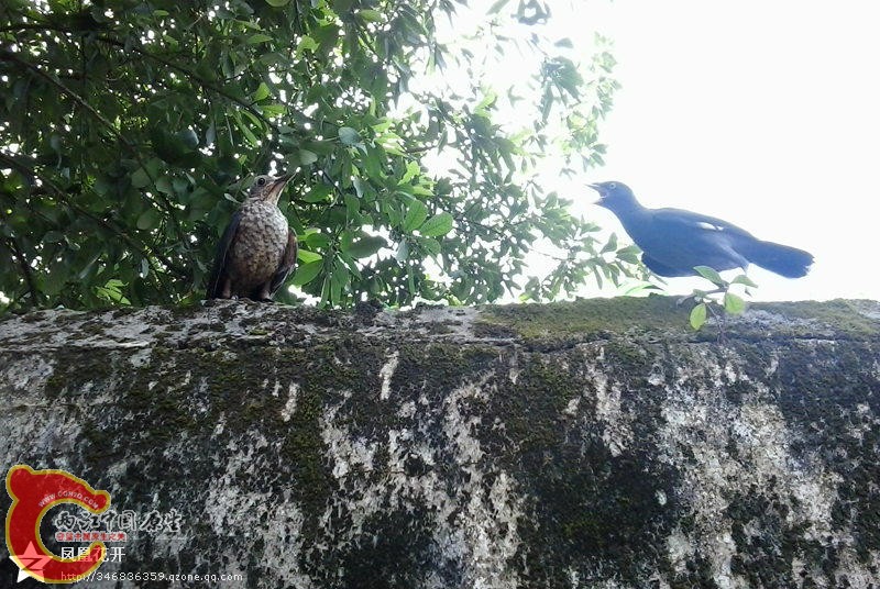 14 第51天下地140808.jpg