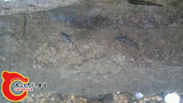 IMG_20140814_212631.jpg