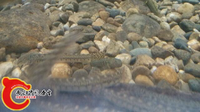 IMG_20140814_212756.jpg