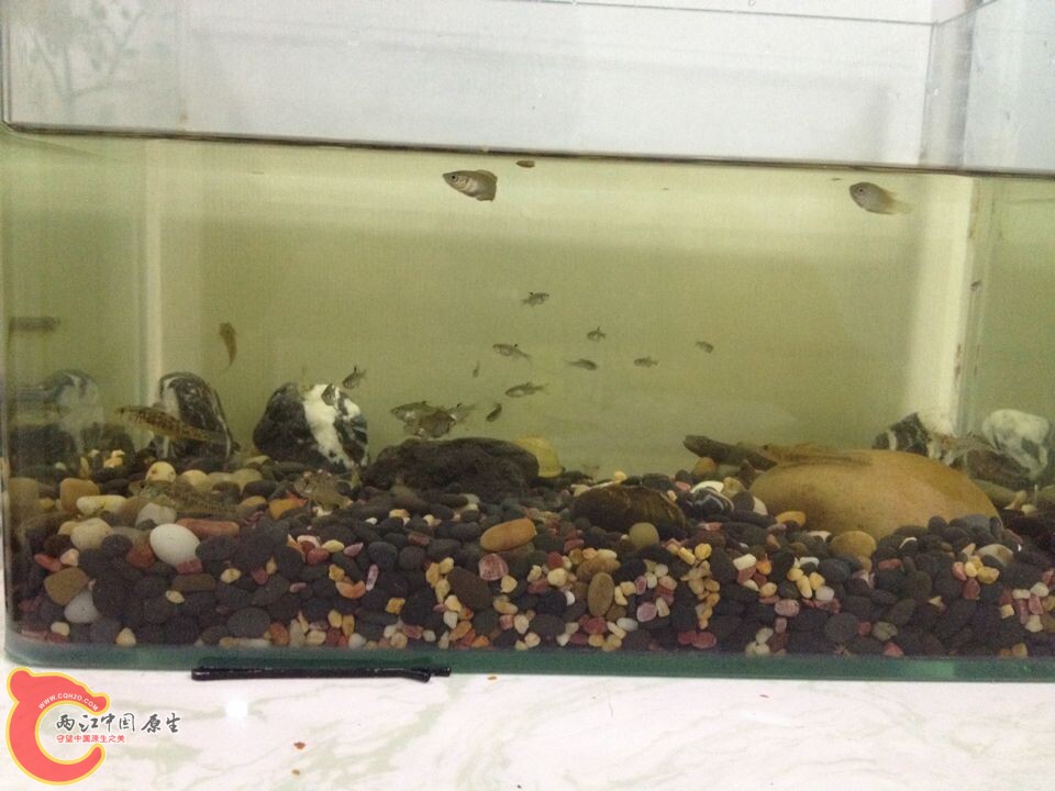 QQ图片20140822112906.jpg