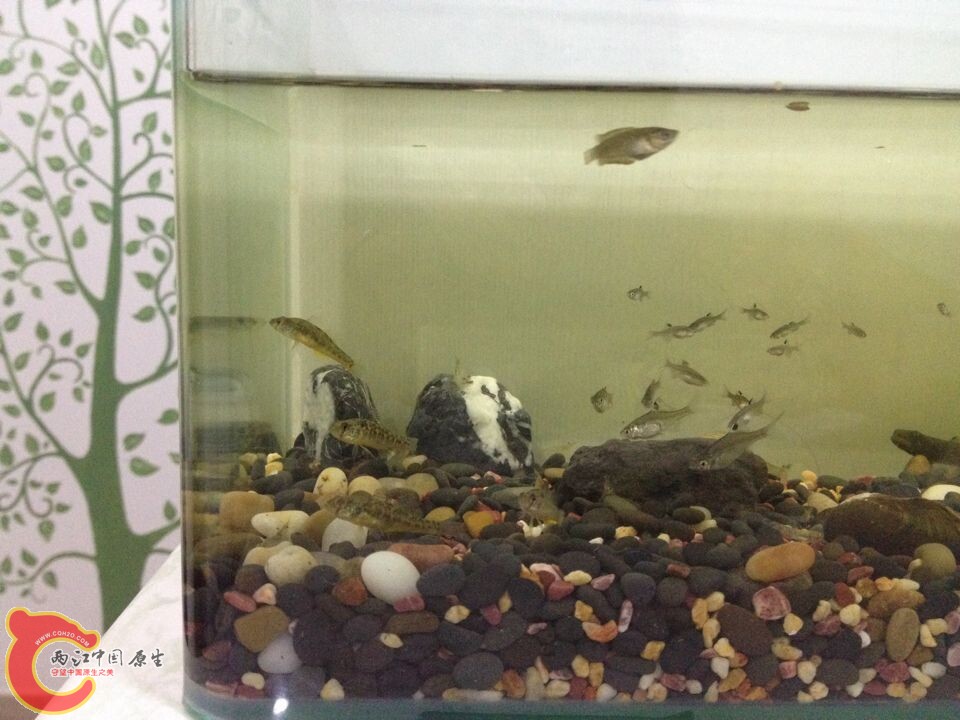 QQ图片20140822112910.jpg