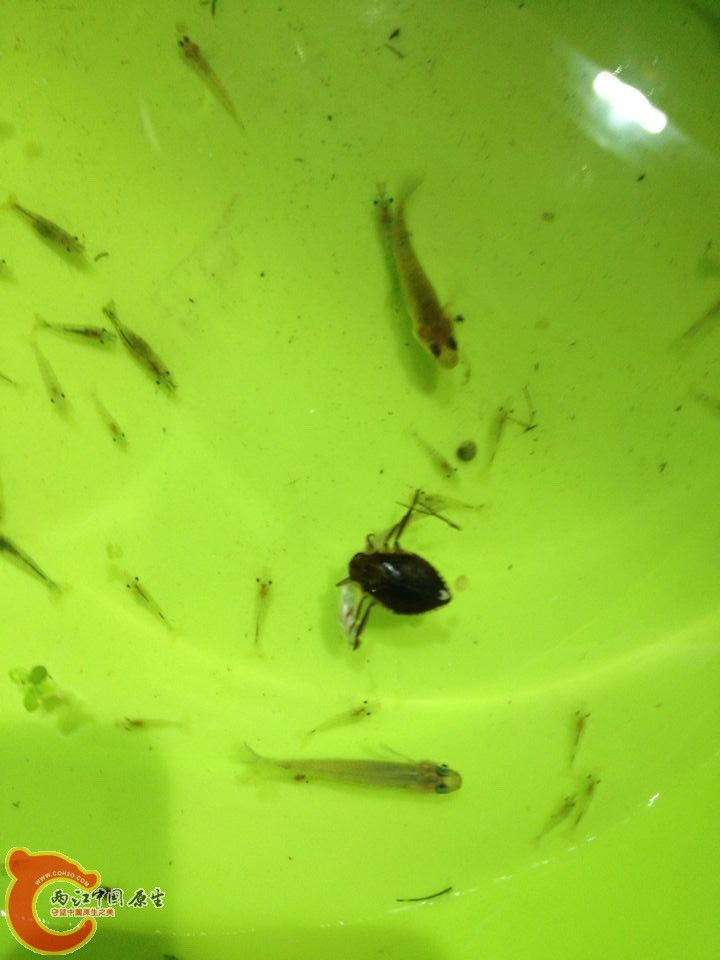 QQ图片20140822112843.jpg