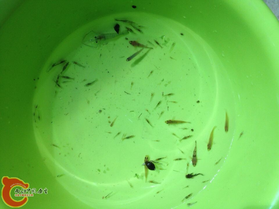 QQ图片20140822112853.jpg