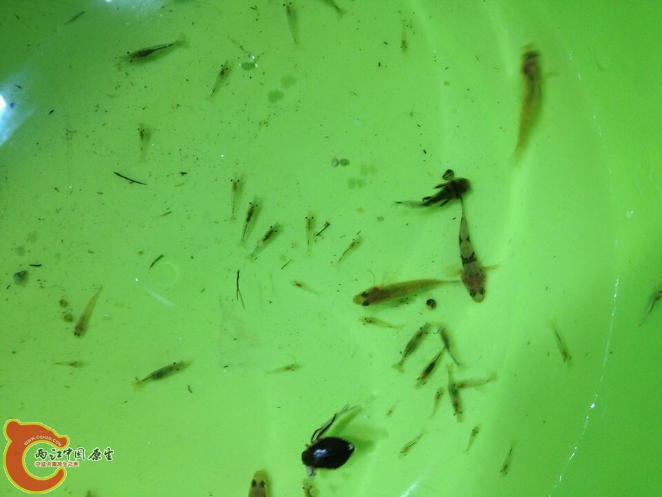 QQ图片20140822112856.jpg