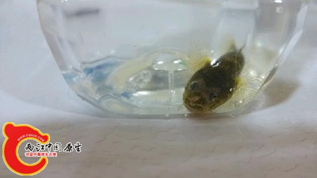 IMG_20140827_202152.jpg
