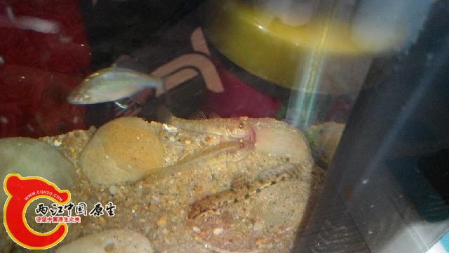 IMG_20140912_095910.jpg