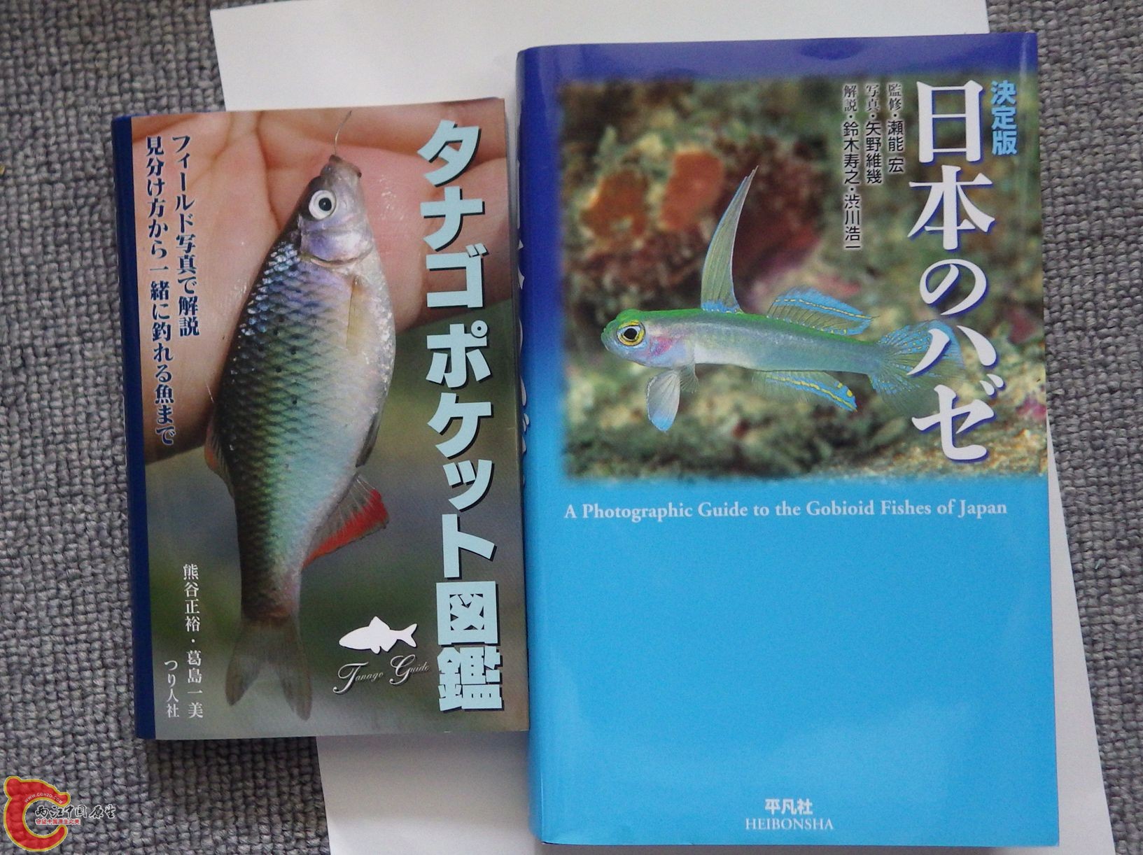 左边这本，鳑鲏图鉴。