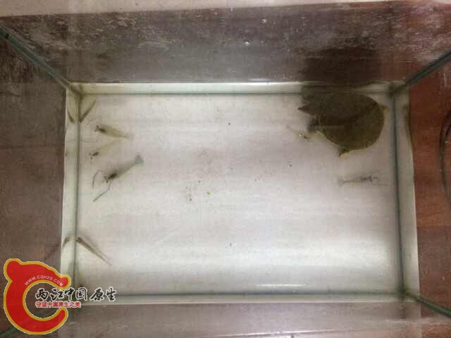 QQ图片20140925151446.jpg