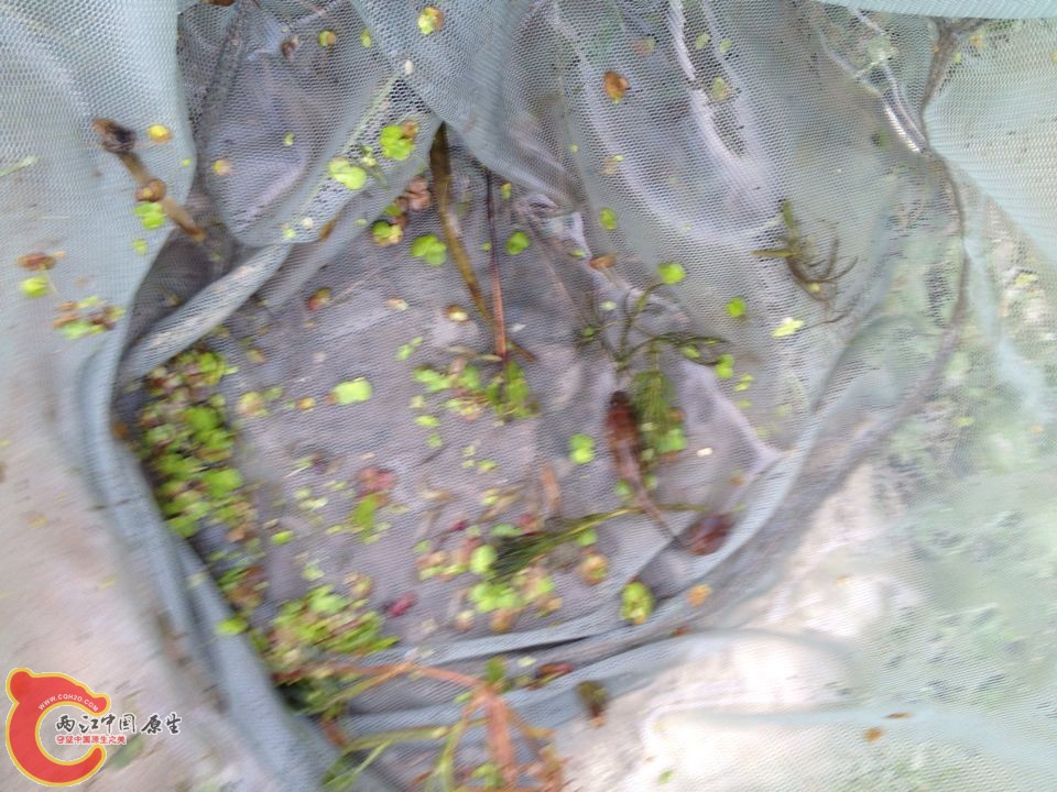 QQ图片20141002110134.jpg