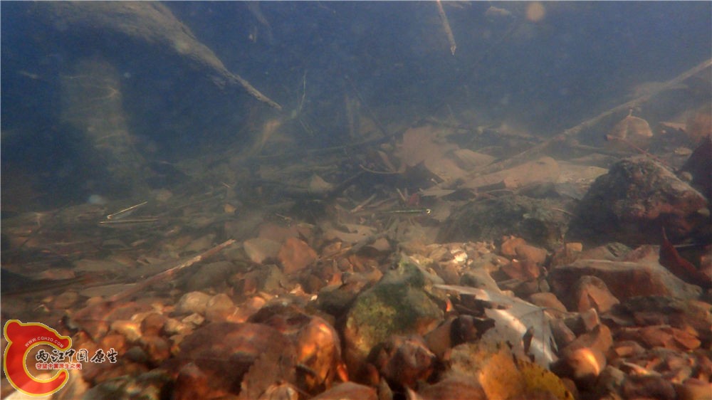 PA040712.jpg