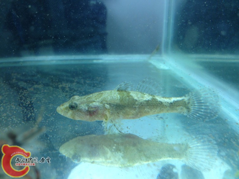 img_2783_副本.jpg