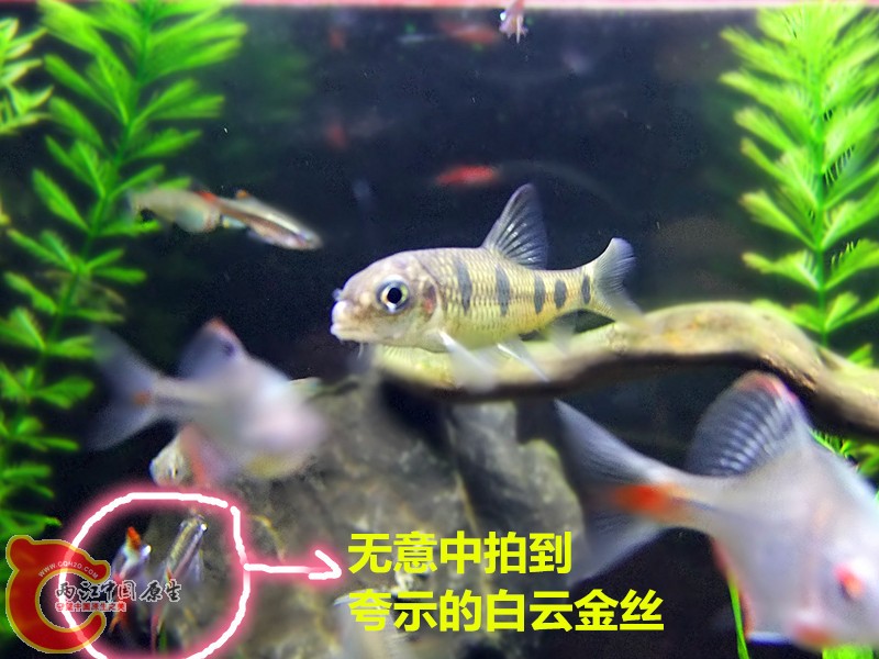 DSCF3956.JPG
