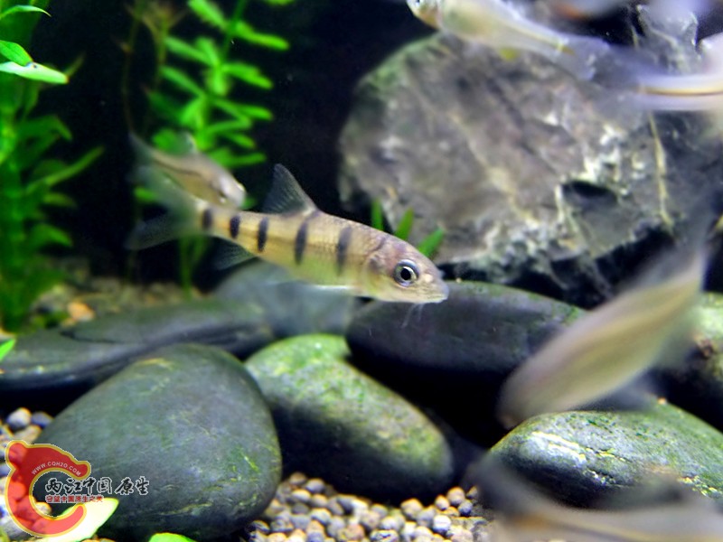 DSCF3966.JPG
