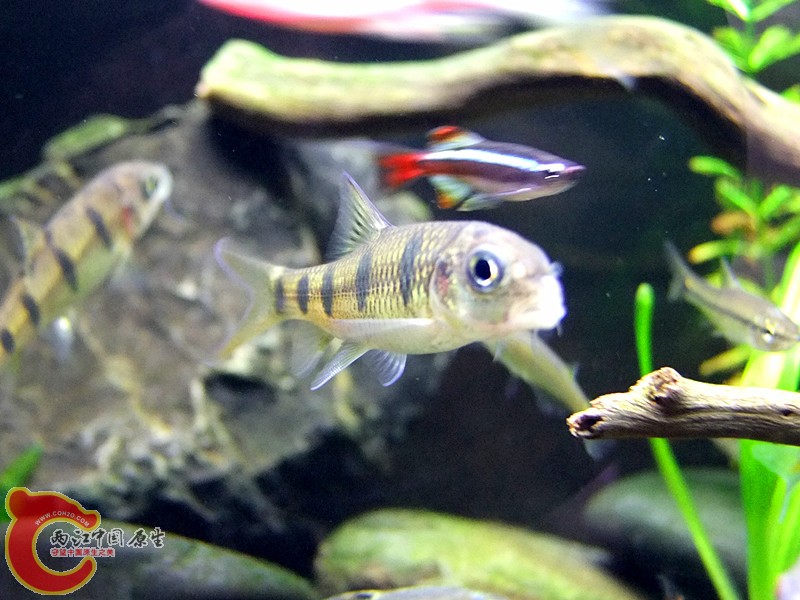 DSCF3990.JPG
