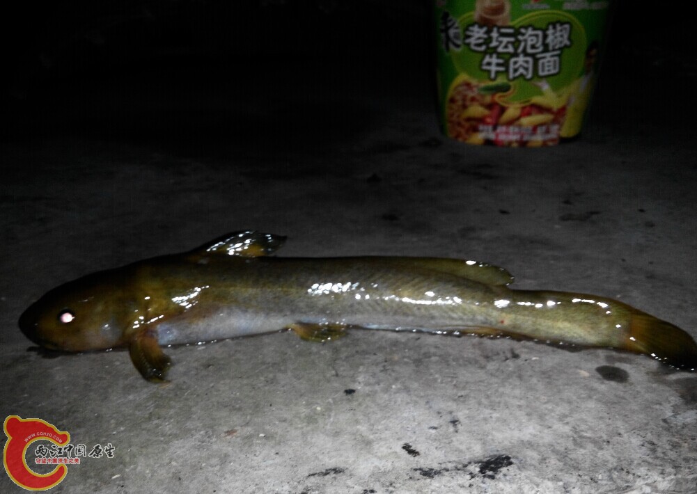 QQ图片20141009230609.jpg