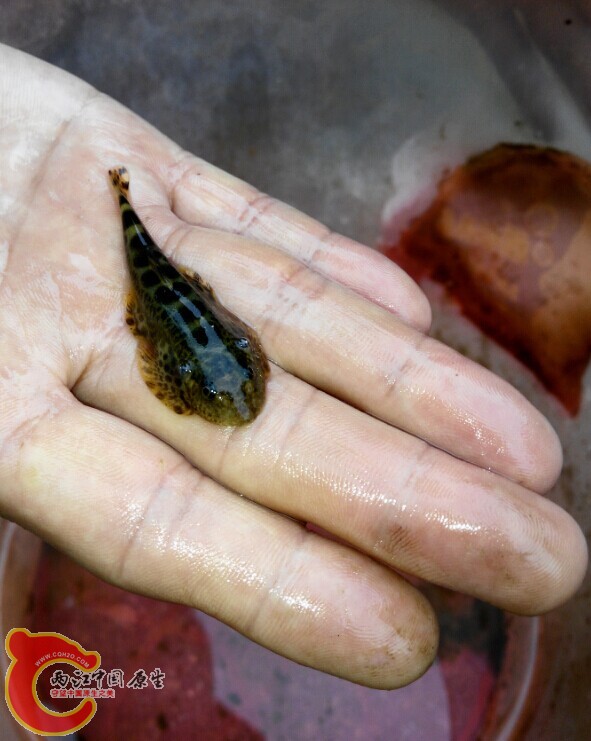 QQ图片20141009230840.jpg