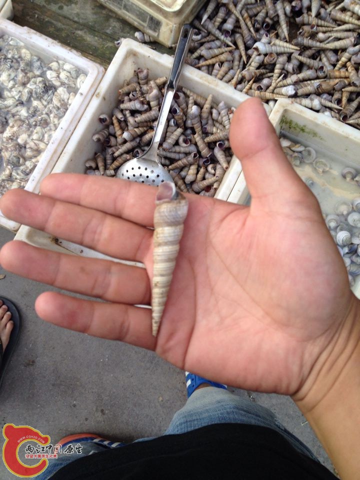 QQ图片20141010094300.jpg