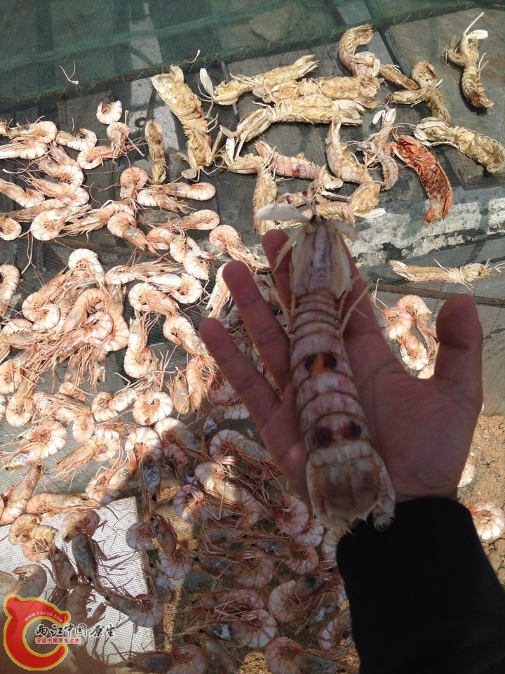 QQ图片20141010094339.jpg