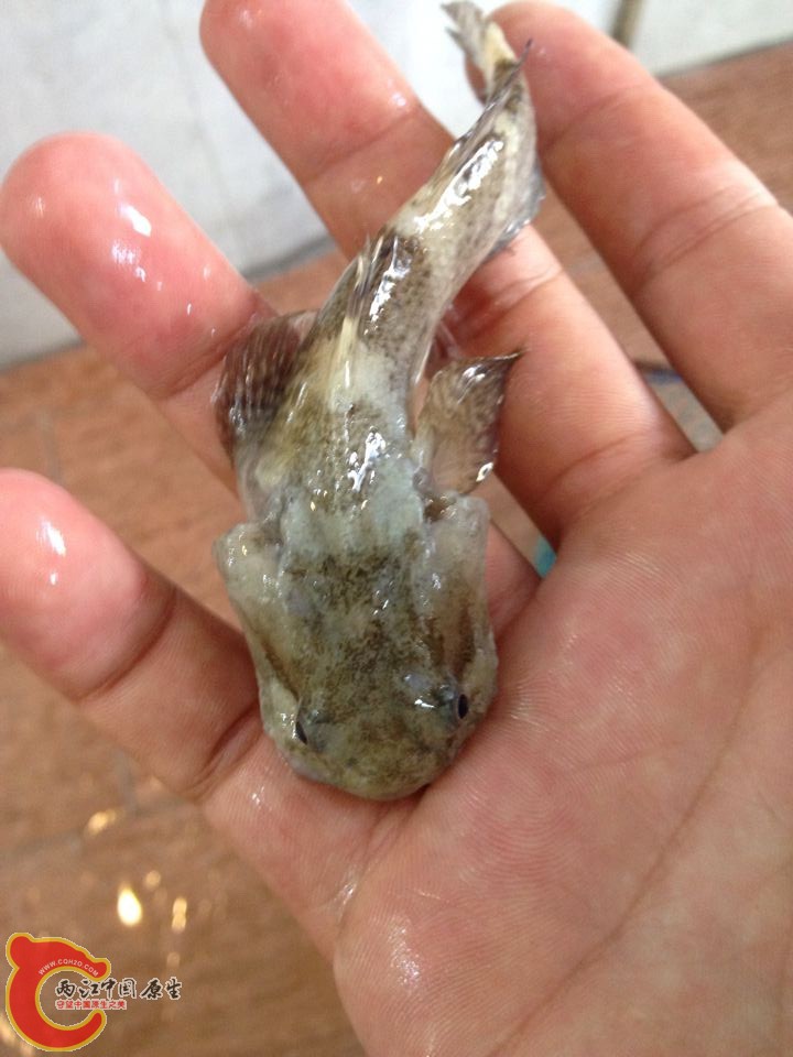 QQ图片20141010094405.jpg
