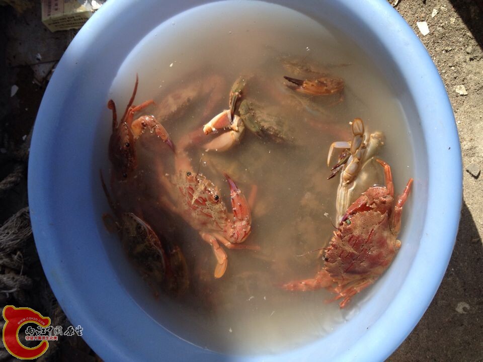QQ图片20141010094419.jpg