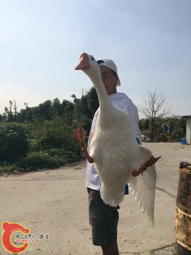 QQ图片20141010094516.jpg
