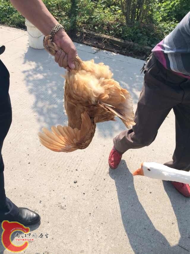 QQ图片20141010094538.jpg