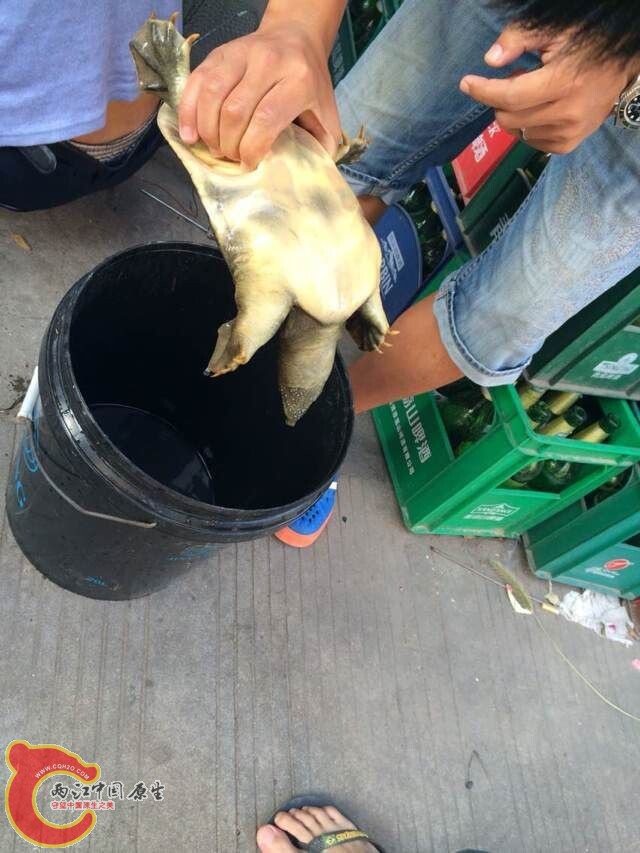 QQ图片20141010094548.jpg