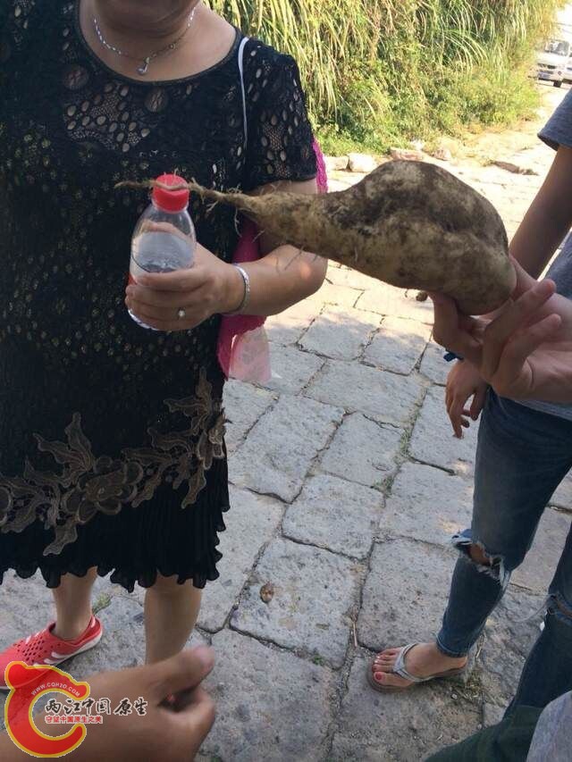 QQ图片20141010094556.jpg