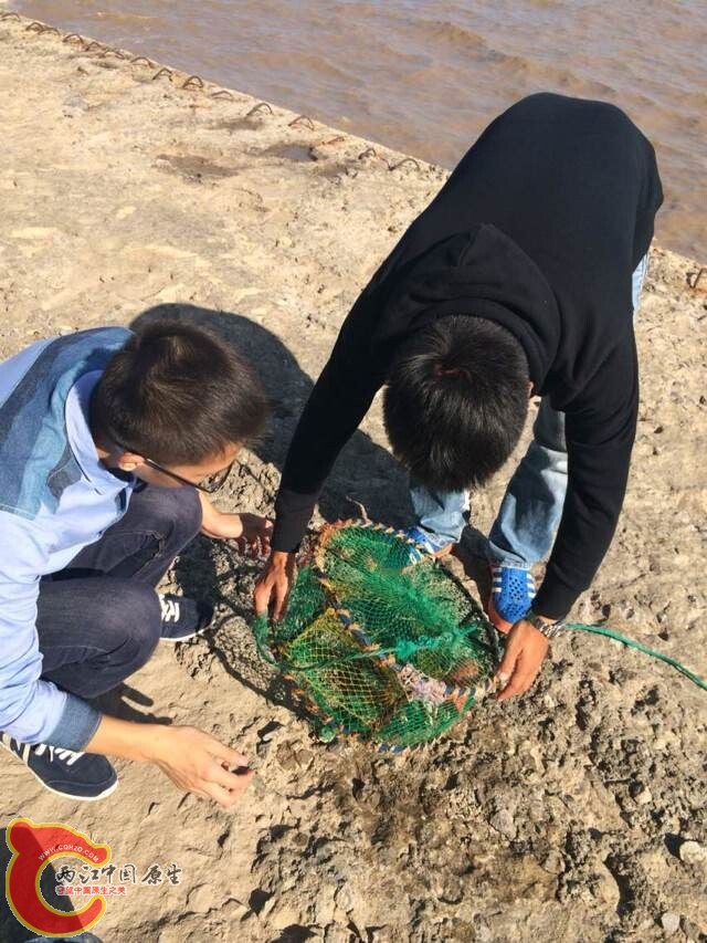 QQ图片20141010094640.jpg