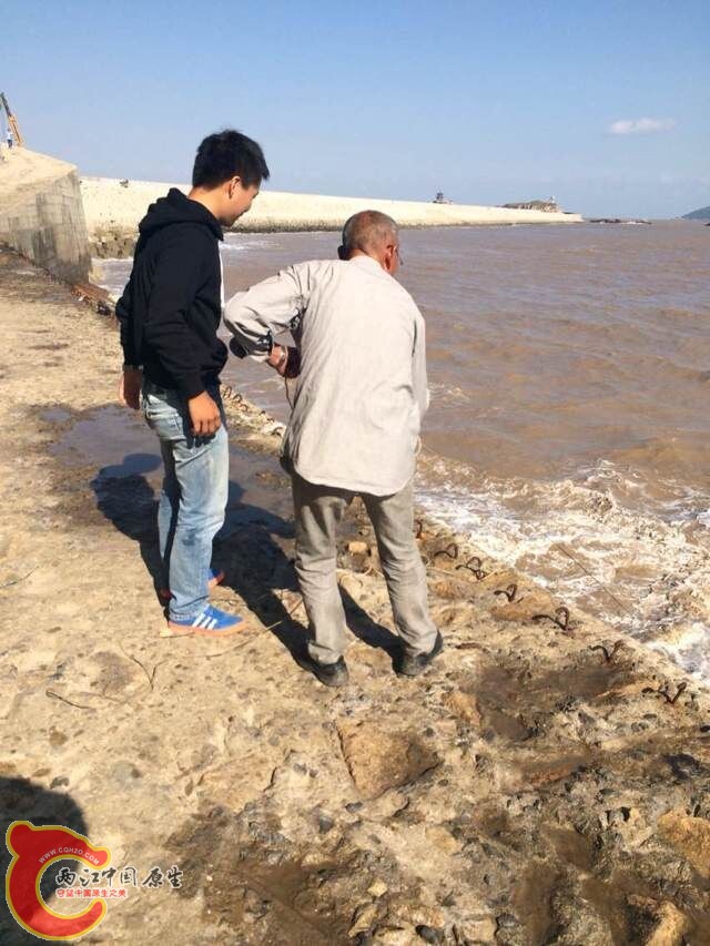 QQ图片20141010094643.jpg