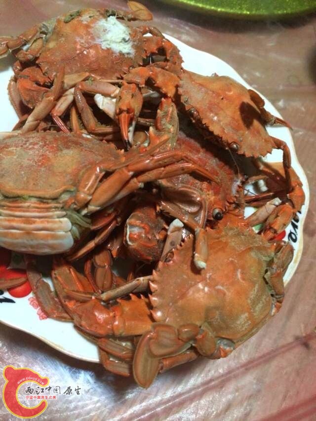 QQ图片20141010094704.jpg
