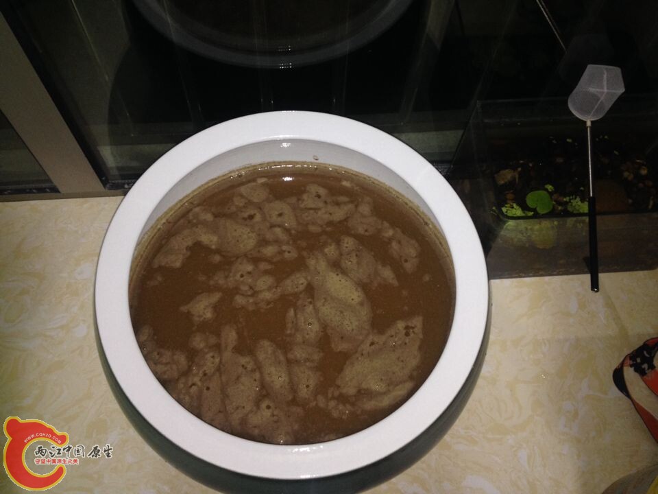 QQ图片20141014092713.jpg