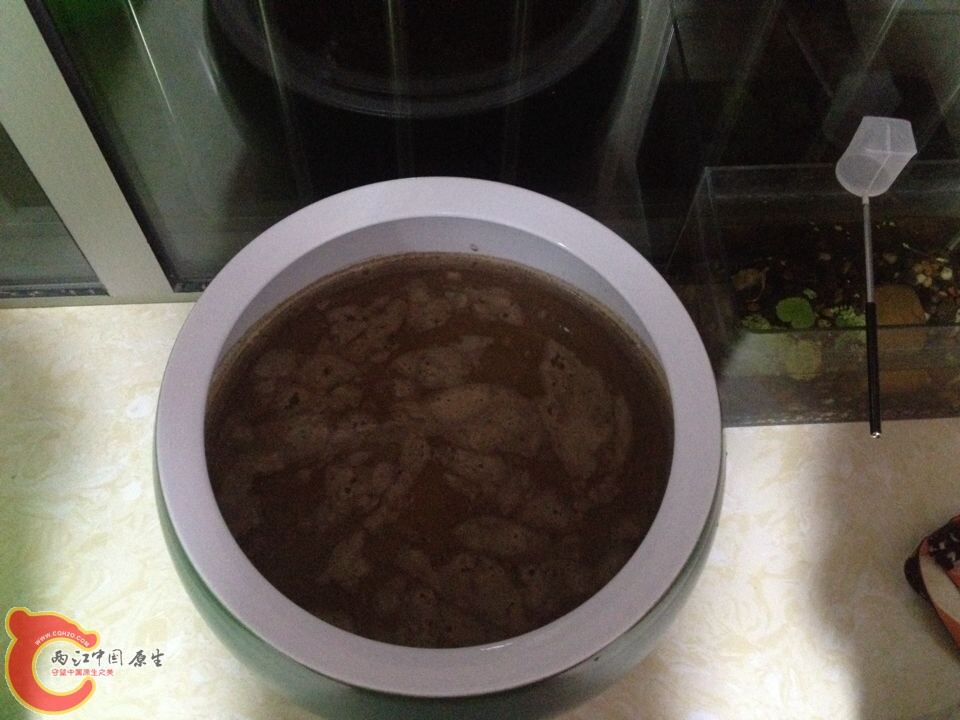 QQ图片20141014092709.jpg