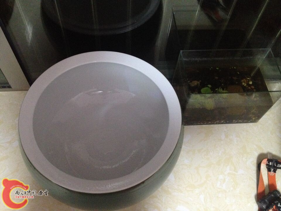 QQ图片20141014092655.jpg