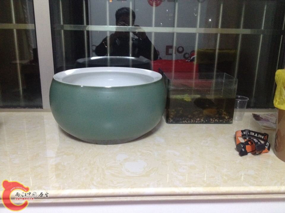 QQ图片20141014092652.jpg